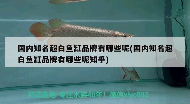 在淘寶上買了一個魚缸加熱器，質量問題導致三條兩年的虎魚漏電死亡。商家完全不負責任，錦鯉魚缸停電缺氧一天會死魚么