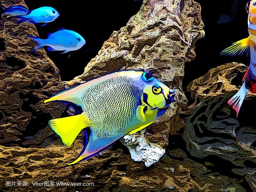 大洋水族魚缸怎么樣：大洋水族魚缸的優(yōu)點與養(yǎng)護