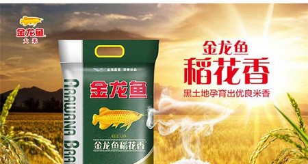 極品血紅龍魚價格（極品血紅龍魚多少錢一條）