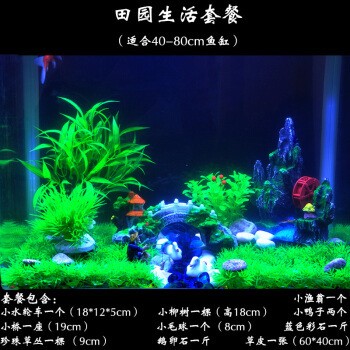 濱州市濱城區(qū)藍(lán)洋海底世界水族館（濱州市濱城區(qū)藍(lán)洋海底世界水族館電話）