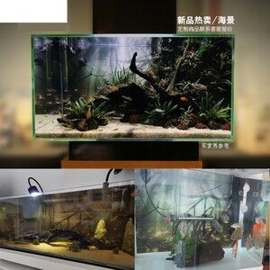 1.5米魚缸簡(jiǎn)單造景圖紙：1.5米魚缸簡(jiǎn)單造景圖紙，如何簡(jiǎn)單造景1.5米魚缸的建議和方法