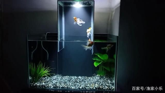 1.2米的魚(yú)缸制作視頻教程全集