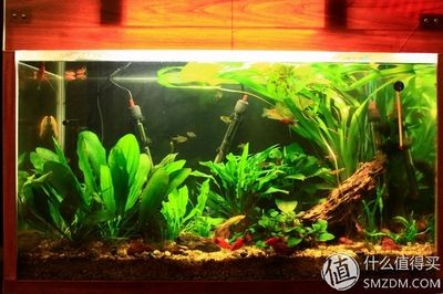 1.2米的魚(yú)缸制作視頻教程全集