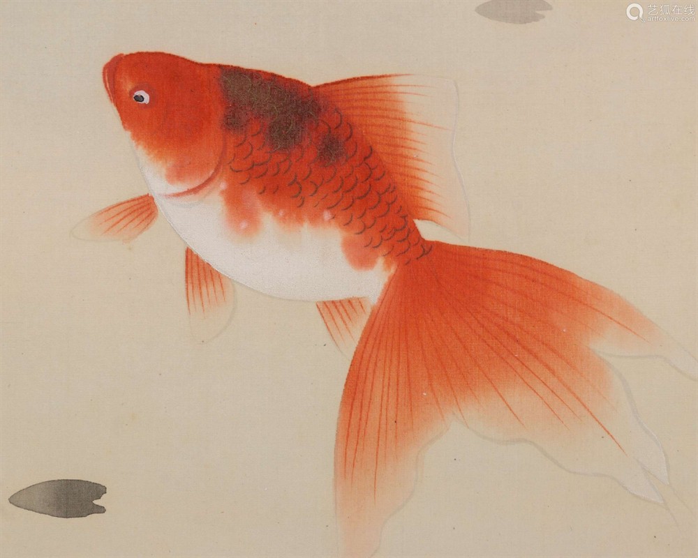 6條小金魚要多大魚缸養：養金魚需要考慮的因素包括金魚的大小和數量、魚缸的尺寸和水溫等