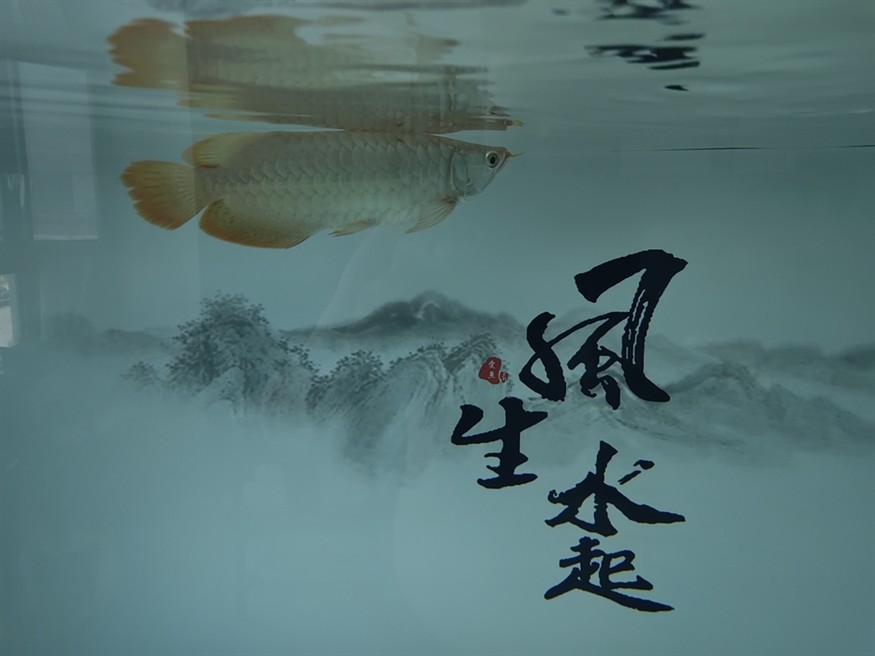 不要吃太多