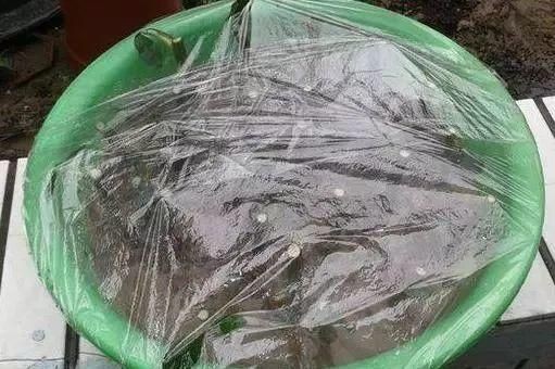 冬天魚缸套上保溫薄膜：冬天魚缸套上保溫薄膜是一種實用且經濟的保溫工具
