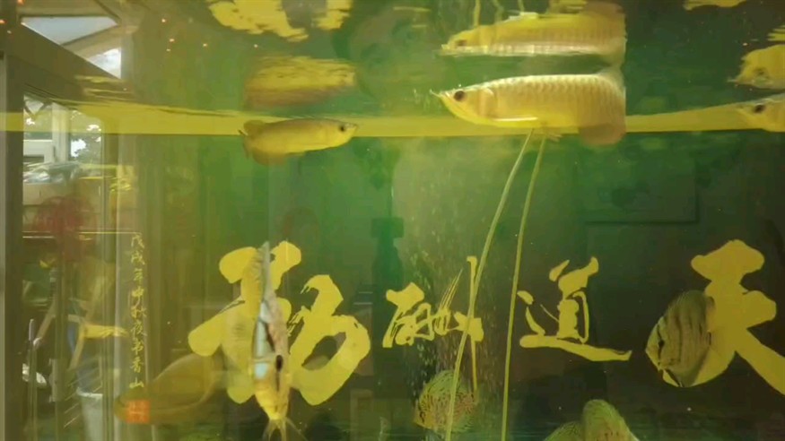 樂趣