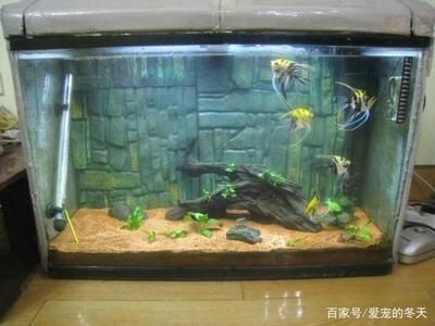 安彩魚缸過濾器怎么用的視頻：關于安彩魚缸過濾器的使用方法和使用方法的視頻教程 安彩魚缸過濾器怎么用的視頻：關于安彩魚缸過濾器的使用方法和使用方法的視頻教程 魚缸百科 第1張