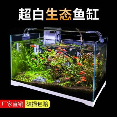 成品小魚(yú)缸改過(guò)濾：成品小魚(yú)缸的過(guò)濾改造