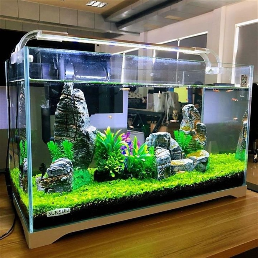 詳細閱讀:大魚缸小魚缸拿出7條 大魚缸小魚缸拿出7條