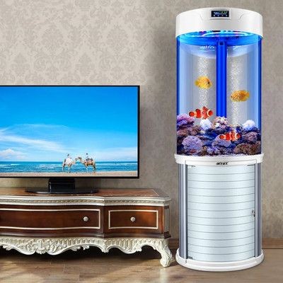 詳細(xì)閱讀:龍魚嘴巴磨爛會(huì)自愈嗎?(龍魚嘴巴磨爛后多久會(huì)恢復(fù),龍魚嘴巴磨爛會(huì)留下疤痕嗎) 龍魚嘴巴磨爛會(huì)自愈嗎?(龍魚嘴巴磨爛后多久會(huì)恢復(fù),龍魚嘴巴磨爛會(huì)留下疤痕嗎)