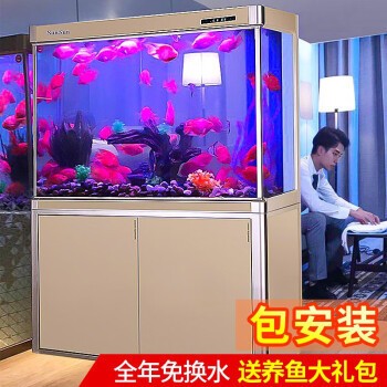 紅龍魚老是趴缸子怎么回事兒呀（紅龍魚老是趴缸子怎么回事兒呀視頻）