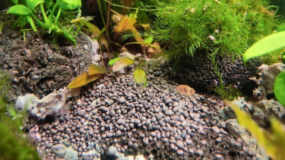 買了包ADA泥散裝細泥感覺不太像