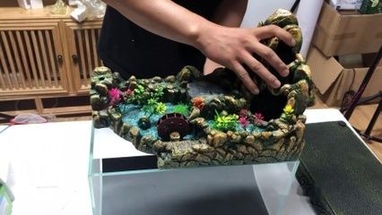 玻璃魚缸怎么安裝視頻：玻璃魚缸安裝基本步驟分享，魚缸安裝基本步驟分享