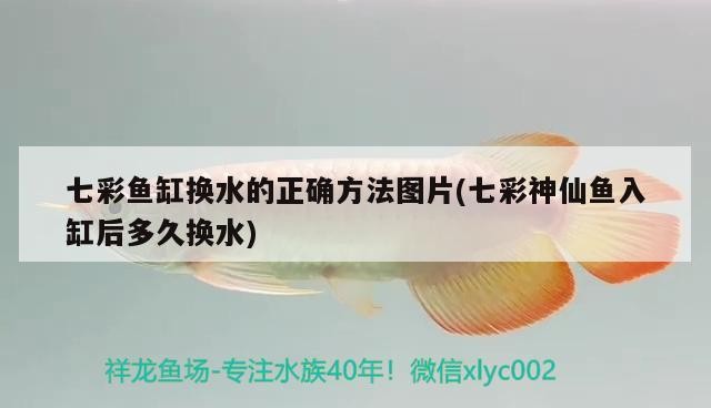 大連市甘井子區金三角市場龍源水族館