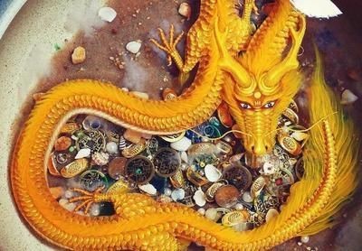 屬龍的人能不能養魚缸