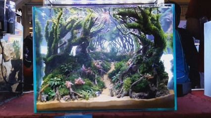 扁形魚缸造景效果圖：扁形魚缸造景效果圖的制作