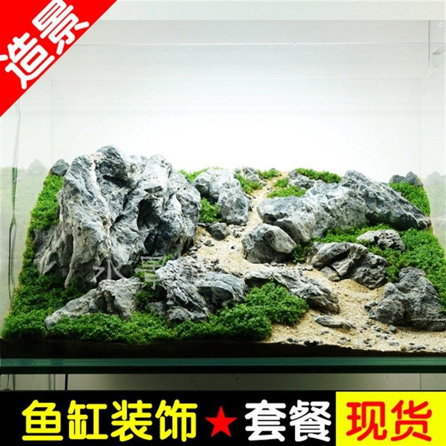 100cm魚缸造景：100cm魚缸造景關鍵步驟和注意事項和注意事項