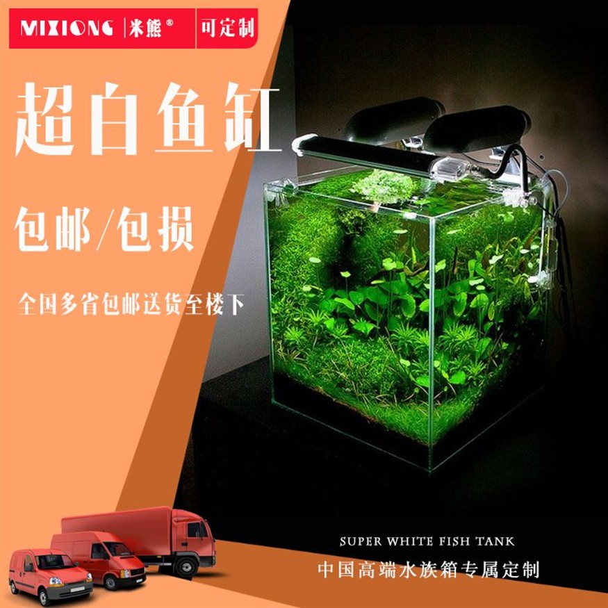 100cm魚缸造景：100cm魚缸造景關鍵步驟和注意事項和注意事項