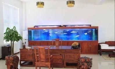 玻璃膠粘的魚缸結實嗎