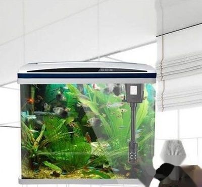 1.7米魚缸養幾條錦鯉