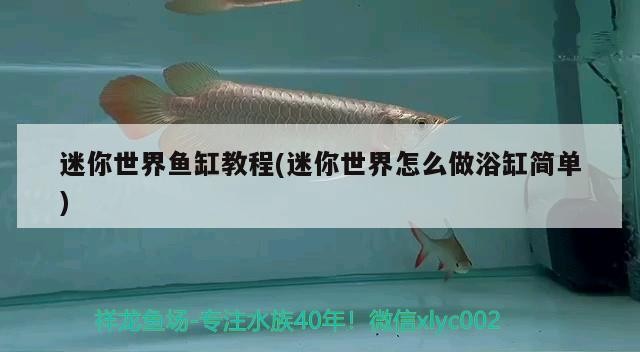 迷你世界魚缸教程(迷你世界怎么做浴缸簡單)