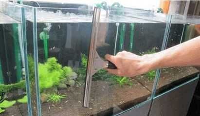 養龍魚怎么清洗魚缸內部污垢