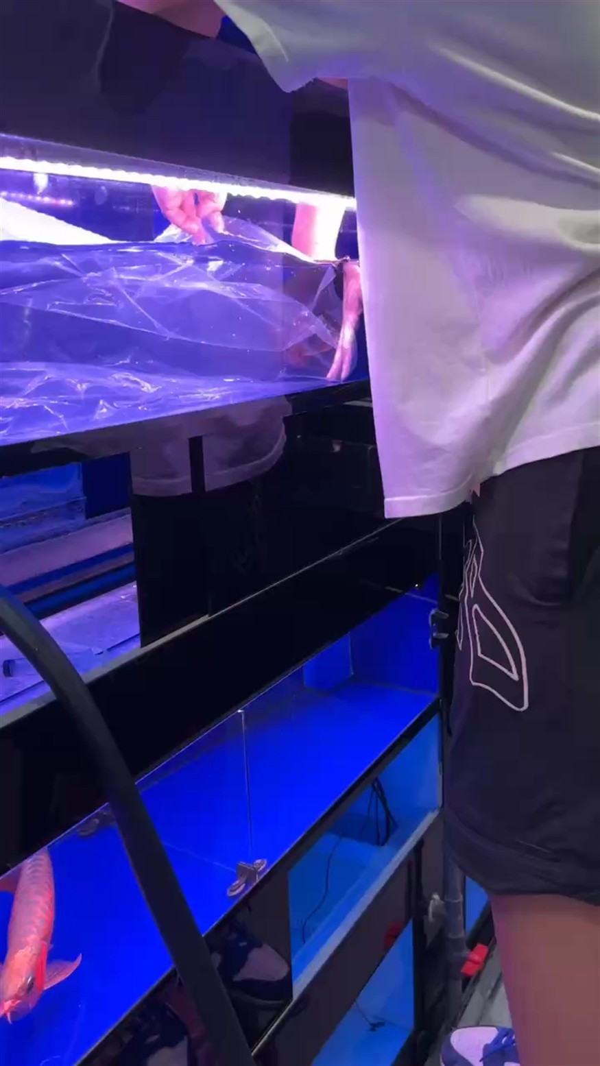 撈魚(yú) 打包 發(fā)貨