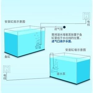 安裝小魚缸視頻：小魚缸安裝基礎教程