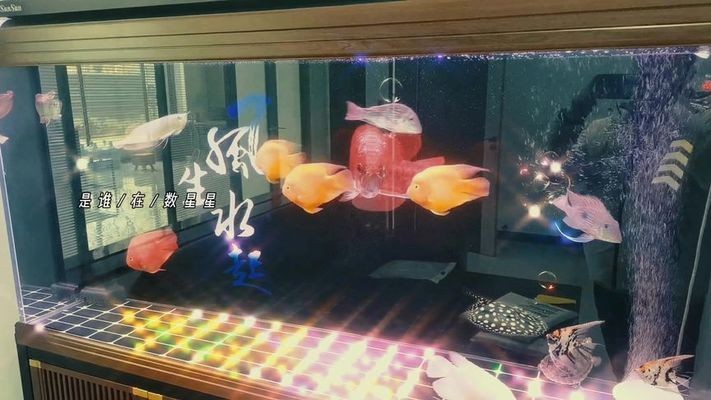 涇陽縣亞馬遜水族館（涇陽縣亞馬遜水族館電話）