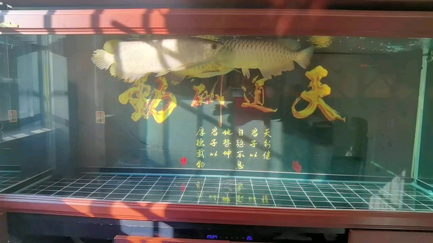 日光浴