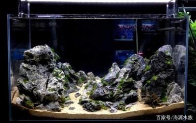 白色石頭能放魚缸里嗎：白色的石頭可以放入魚缸中，但需要注意以下幾點