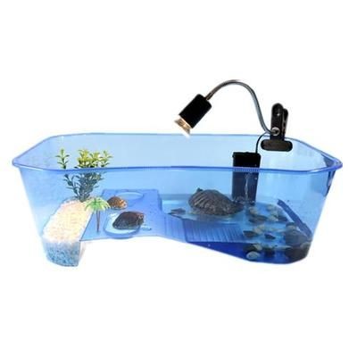 玻璃魚缸怎么養水草：魚缸水草養護技巧