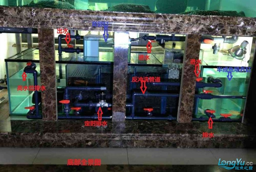 成品底濾魚缸改海缸：成品底濾魚缸改海缸需要注意哪些問題？