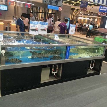 超市魚缸養(yǎng)魚為什么老是會死魚呢:超市魚缸養(yǎng)魚死魚的原因 魚缸百科 第3張 超市魚缸養(yǎng)魚為什么老是會死魚呢:超市魚缸養(yǎng)魚死魚的原因 超市魚缸養(yǎng)魚為什么老是會死魚呢:超市魚缸養(yǎng)魚死魚的原因 魚缸百科 第3張