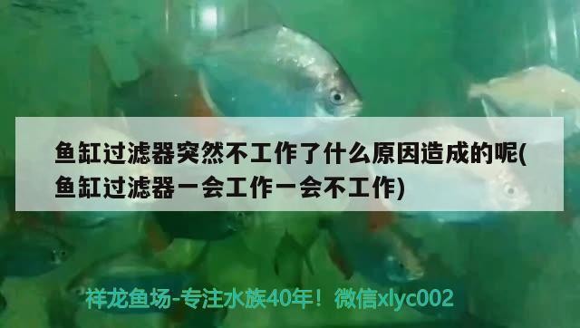 有哪些增氧劑可以推薦，增氧劑使用速查表