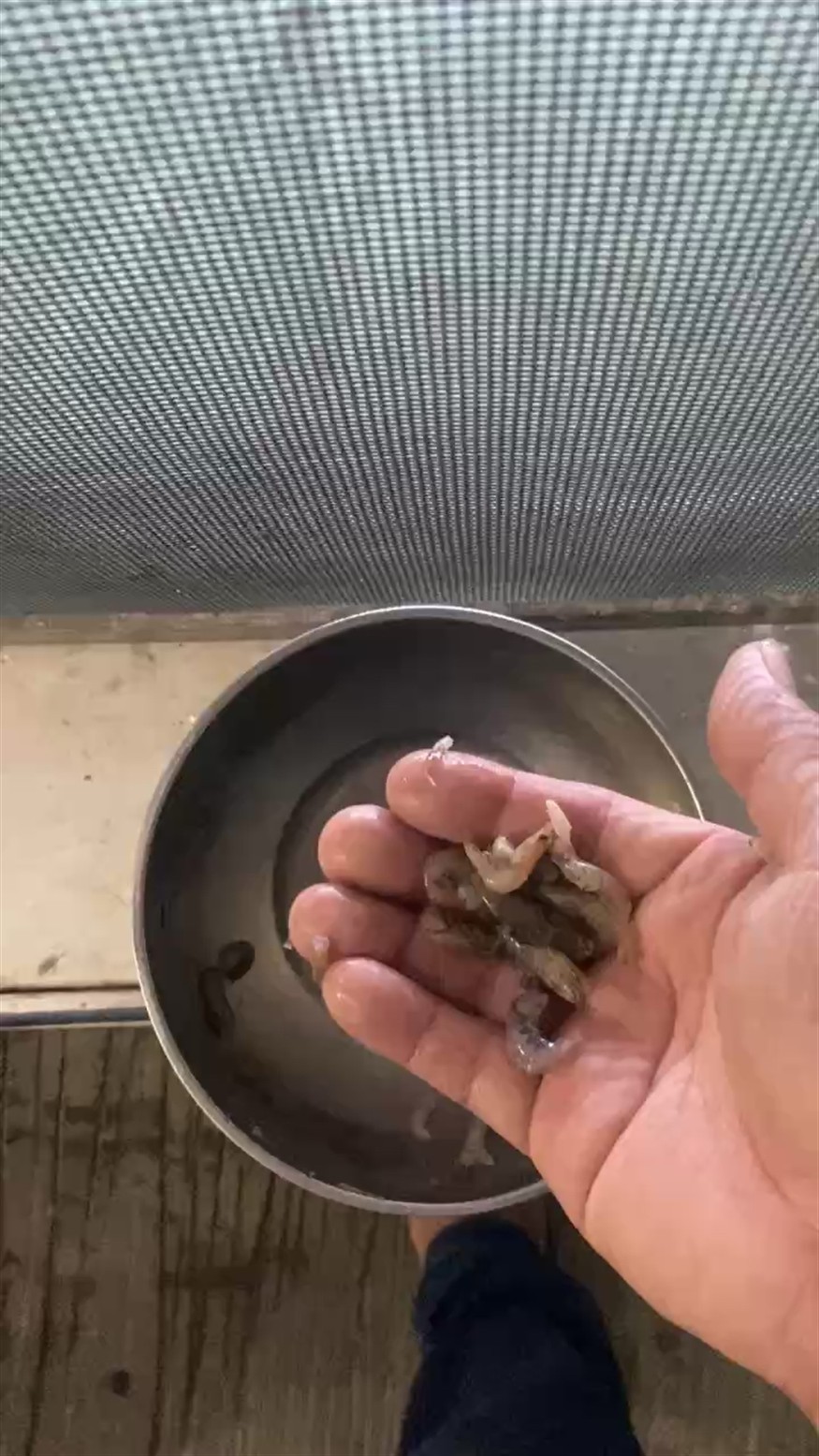 海南的冬天準(zhǔn)備到來了 可以起池了