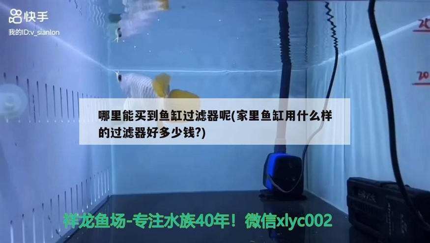 哪里能買到魚缸過濾器呢(家里魚缸用什么樣的過濾器好多少錢?) 哪里能買到魚缸過濾器呢(家里魚缸用什么樣的過濾器好多少錢?) 銀龍魚百科