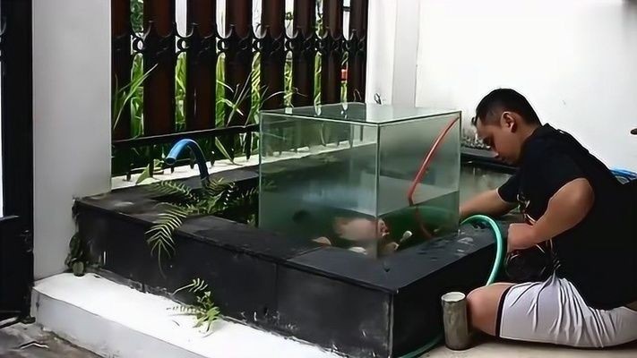 大氣壓魚缸：大氣壓魚缸的原理和制作