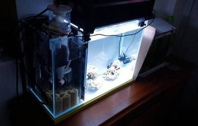 半圓型魚缸過濾器怎么用：半圓型魚缸過濾器使用方法與其他類型的魚缸過濾器相似