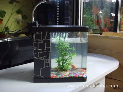 博宇魚缸廠家：博宇魚缸廠家在水族用品領域有著一定的影響力和產品種類豐富
