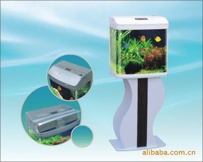 博宇魚缸廠家：博宇魚缸廠家在水族用品領域有著一定的影響力和產品種類豐富