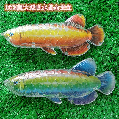 紅龍魚(yú)燈光位置示意圖片大全（紅龍魚(yú)燈光位置示意圖片大全集）