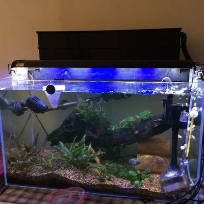 超白魚缸玻璃刮花怎么修復：超白魚缸玻璃刮花的修復方法