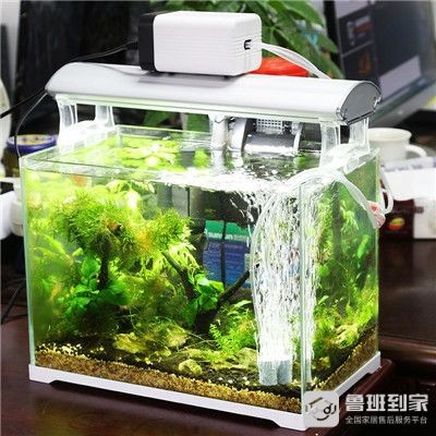 大魚缸過濾器哪種好:魚缸過濾器的類型 魚缸百科 第4張 大魚缸過濾器哪種好:魚缸過濾器的類型 大魚缸過濾器哪種好:魚缸過濾器的類型 魚缸百科 第4張