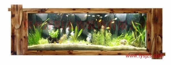 壁掛式魚缸：壁掛式魚缸是一種新型的家居裝飾品壁掛式魚缸的特點