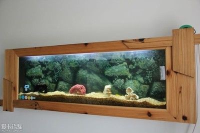 壁掛式魚缸：壁掛式魚缸是一種新型的家居裝飾品壁掛式魚缸的特點