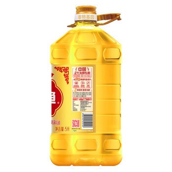 紅龍魚一直在缸底不動(dòng)怎么回事呀（紅龍魚一直在缸底不動(dòng)怎么回事呀視頻）