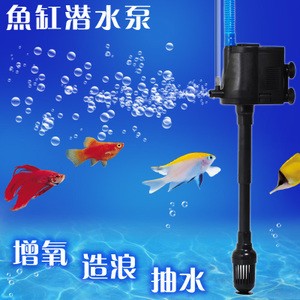 大通縣水族閑情旗艦店（大通縣水族閑情旗艦店地址）