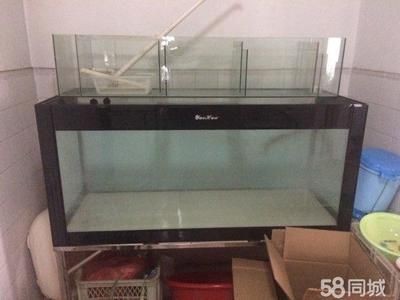 1米2魚缸12個厚需要拉筋嗎：1米2魚缸12個厚需要拉筋嗎1米2魚缸12個厚需要拉筋嗎
